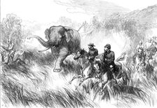 The Prince of Wales in the Terai: Mr. Rose chased by a Wild Elephant...1876. Creator: C.R.