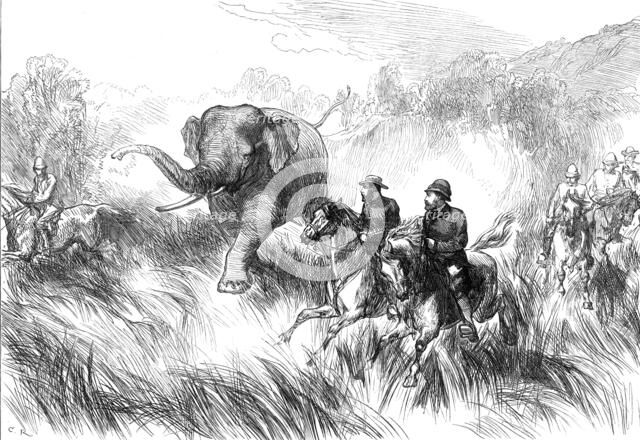 The Prince of Wales in the Terai: Mr. Rose chased by a Wild Elephant...1876. Creator: C.R..