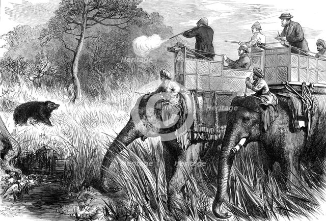 The Prince of Wales in the Terai: Shooting a Bear...1876. Creator: Unknown.