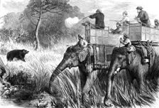 The Prince of Wales in the Terai: Shooting a Bear...1876. Creator: Unknown