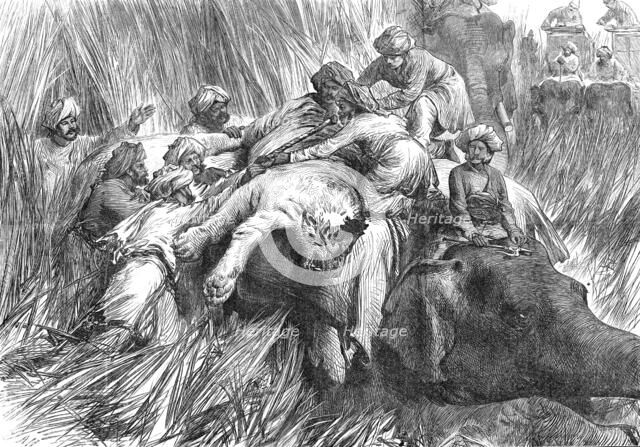 The Prince of Wales in the Terai: "Padding" a Tiger"...1876. Creator: Unknown.