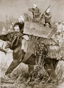 The Prince of Wales on a tiger hunt during his visit to India, 1876 (1901). Creator: Richard Caton Woodville II