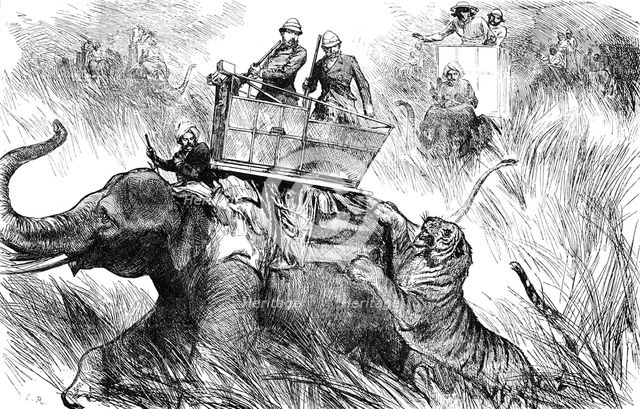 The Prince of Wales's Elephant charged by a Tiger, 1876. Creator: C.R..