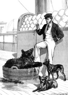The Prince's Voyage Home from India...Himalayan Black Bear and tailless dog...1876. Creator: W. J. P.