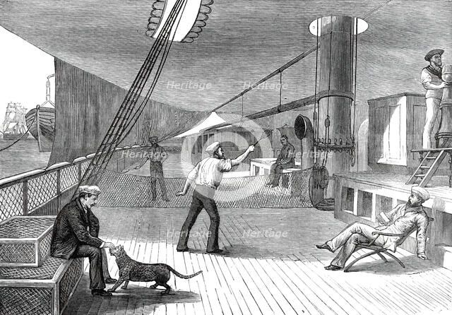 The Prince's Voyage Home from India: life on board the Serapis: lawn tennis...1876. Creator: Unknown.