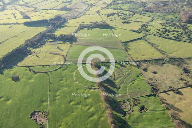The Priddy Circles (Nos. 1-3), a linear arrangement of circular earthwork enclosures, Somerset, 2017 Creator: Damian Grady.