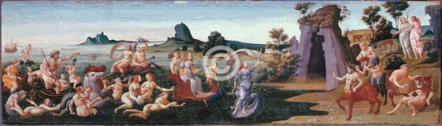 The procession of Thetis, c. 1490-1499.