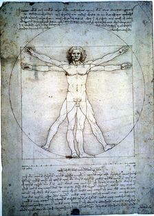 The proportion of the human figure by Leonardo da Vinci