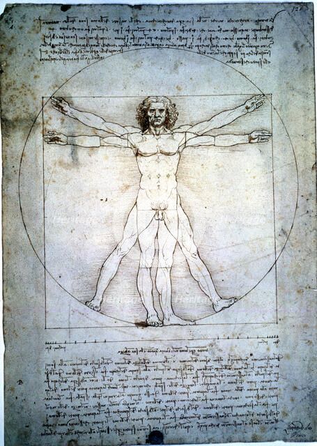 The proportion of the human figure', by Leonardo da Vinci.