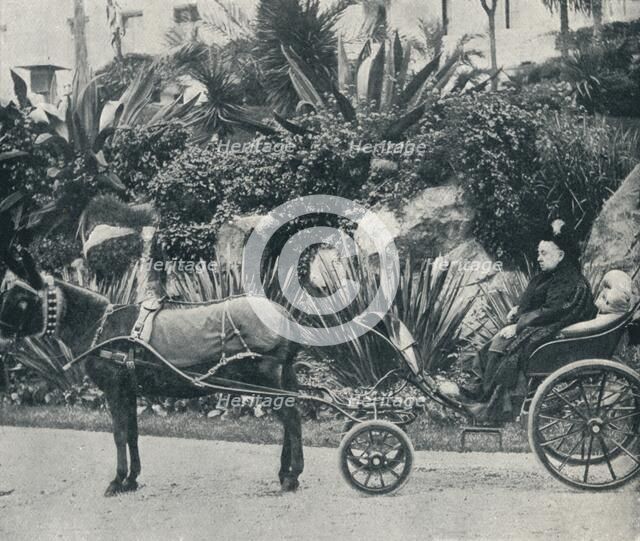 'The Queen Driving in the Grounds of the Grand Hotel at Grasse During Her Holiday in the Riviera in  Artist: Alexander Lamont Henderson.