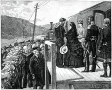 The queen presenting the Albert Medal to coastguard George Oatley, late 19th century, (1900)