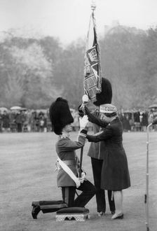 The Queen presents the New Colours to the Scots Guards, Buckingham Palace, London, 1977