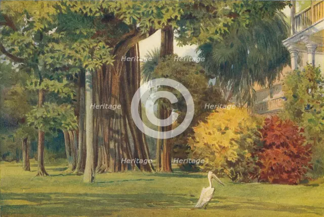 'The Queen's House, Colombo', c1880 (1905). Creator: Alexander Henry Hallam Murray.