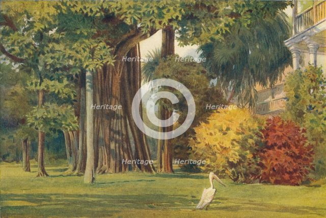'The Queen's House, Colombo', c1880 (1905). Creator: Alexander Henry Hallam Murray.