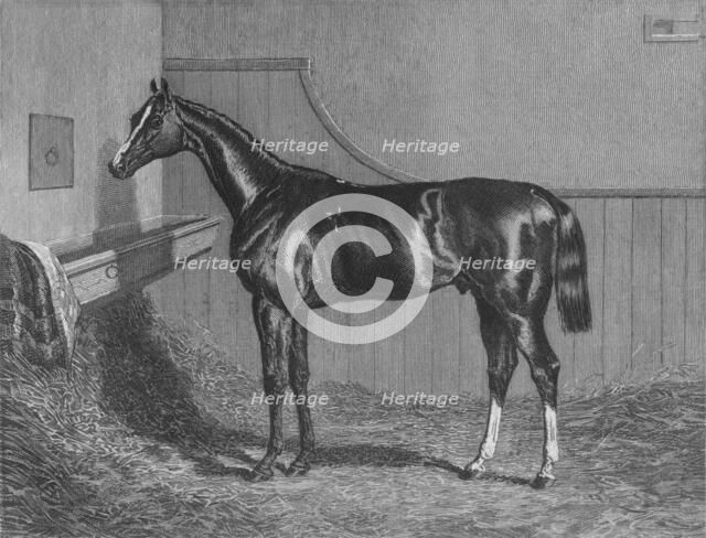 'The Rt. Hon. The Earl of Lichfields Elis. Winner of the St. Leger 1836', 1911. Artist: Unknown.
