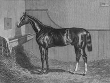 The Rt. Hon. The Earl of Lichfields Elis. Winner of the St. Leger 1836 1911