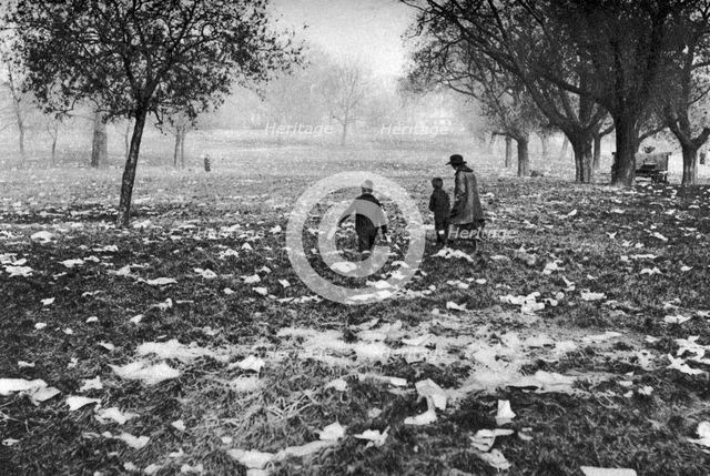 The rubbish left on Hamstead Heath after a bank holiday, London, 1926-1927. Artist: Unknown