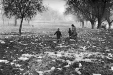 The rubbish left on Hamstead Heath after a bank holiday, London, 1926-1927
