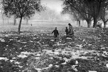 The rubbish left on Hamstead Heath after a bank holiday, London, 1926-1927