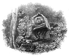 The Ruins of Copan, Central America: a head, with other sculptured stones, 1864. Creator: Unknown