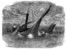 The Running Down of Lord Alfred Paget's Yacht "Alma" off Dover, 1856. Creator: Unknown