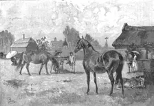 'The Racing Season- Notes at Newmarket; Young Thoroughbreds at home 1890. Creator: Unknown