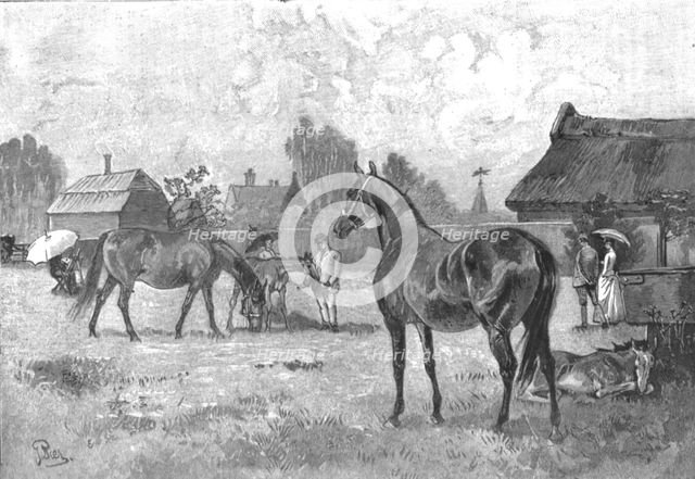 ''The Racing Season- Notes at Newmarket; Young Thoroughbreds at home', 1890. Creator: Unknown.