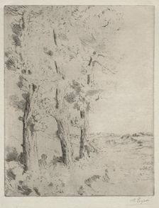 The Reader: The Lecture under the Trees, c. 1882. Creator: Alphonse Legros (French, 1837-1911)