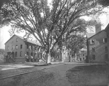 The Reading Hall and Treasury, Yale College, New Haven, Connecticut, USA, c1900. Creator: Unknown