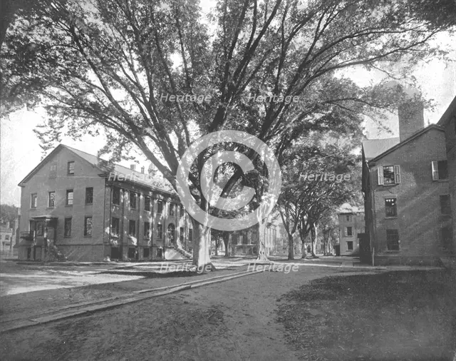 The Reading Hall and Treasury, Yale College, New Haven, Connecticut, USA, c1900.  Creator: Unknown.