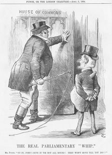 The Real Parliamentary "Whip" 1884. Creator: Joseph Swain
