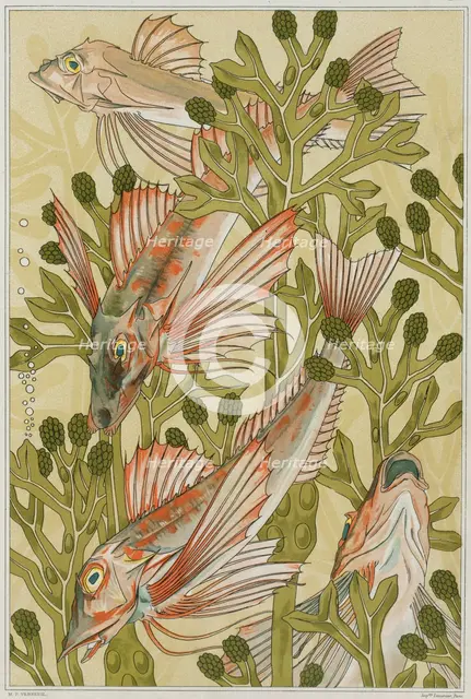 The red mullets, 1897. Creator: Verneuil, Maurice Pillard (1869-1942).
