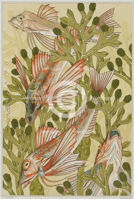 The red mullets, 1897. Creator: Verneuil, Maurice Pillard (1869-1942).