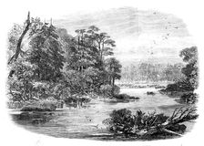 The Red River Expedition: camp of the 60th Rifles near Shebandowan, 1871. Creator: Unknown