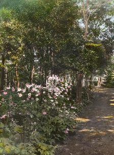 "The Reef," Theodore Montgomery Davis house, Ocean Avenue at Brenton Point, Newport, Rhode..., 1914. Creator: Frances Benjamin Johnston