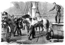 The Reinforcements for Canada: shipping horses on board the Calcutta at Woolwich by the..., 1862. Creator: Unknown