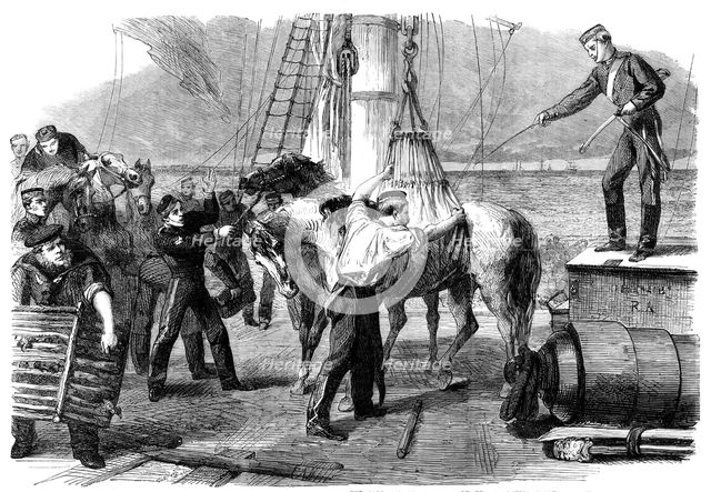 The Reinforcements for Canada: shipping horses on board the Calcutta at Woolwich by the..., 1862. Creator: Unknown.