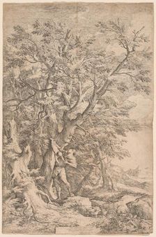 The Rescue of the Infant Oedipus, 1663. Creator: Salvator Rosa