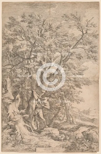 The Rescue of the Infant Oedipus, 1663. Creator: Salvator Rosa.