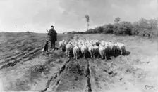 The Return to the Fold. Creator: Anton Mauve