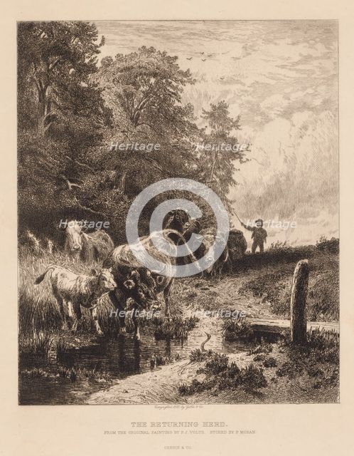 The Returning Herd, c. 1885. Creator: Peter Moran (American, 1841-1914).