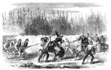 The Revolution in Sicily - Garibaldi cutting down the captain of the Neapolitan cavalry... 1860. Creator: Unknown