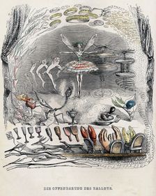 The revelations of Ballet, 1840s. Creator: Grandville, Jean-Jacques (1803-1847)