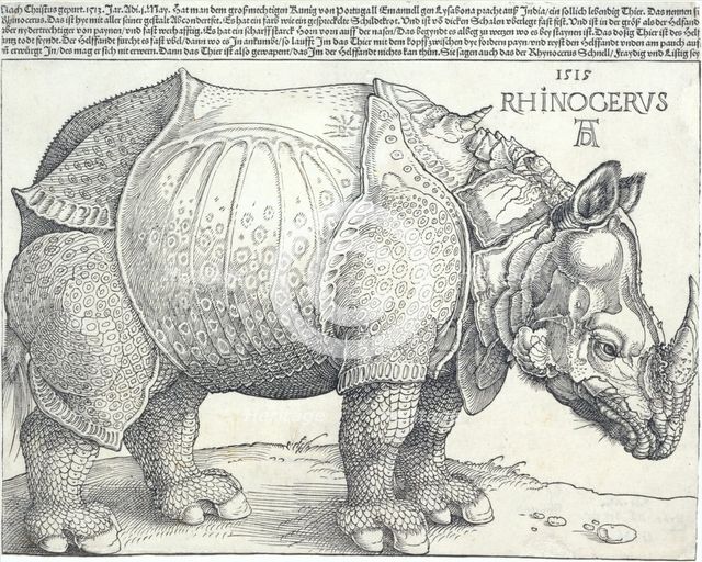 The Rhinoceros, 1515., 1515. Creator: Albrecht Durer.
