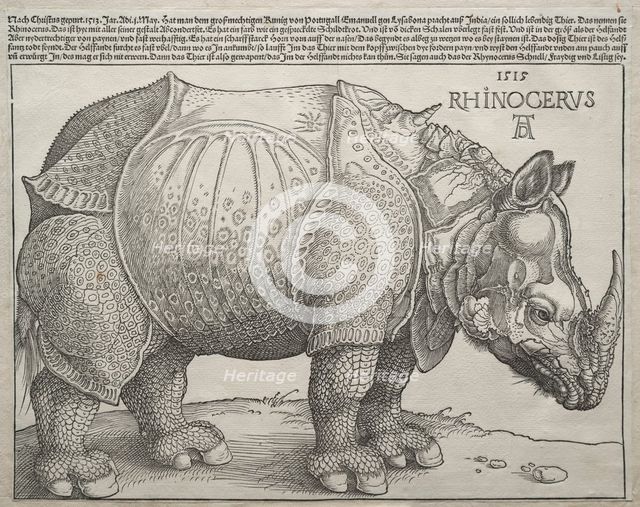 The Rhinoceros, 1515. Creator: Albrecht Dürer (German, 1471-1528).