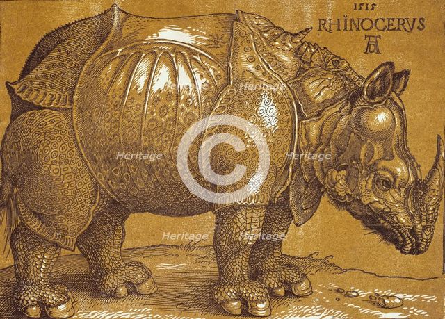The Rhinoceros, 1515. Creator: Dürer, Albrecht (1471-1528).
