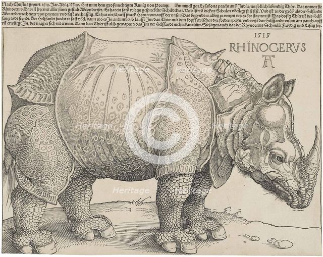 The Rhinoceros.