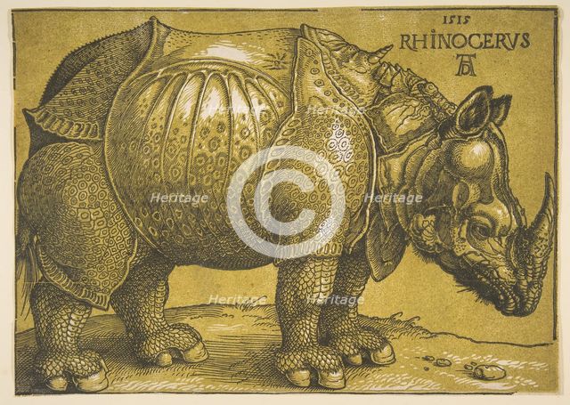 The Rhinoceros, after 1620. Creator: Albrecht Durer.