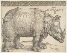 The Rhinoceros.n.d. Creator: Albrecht Durer