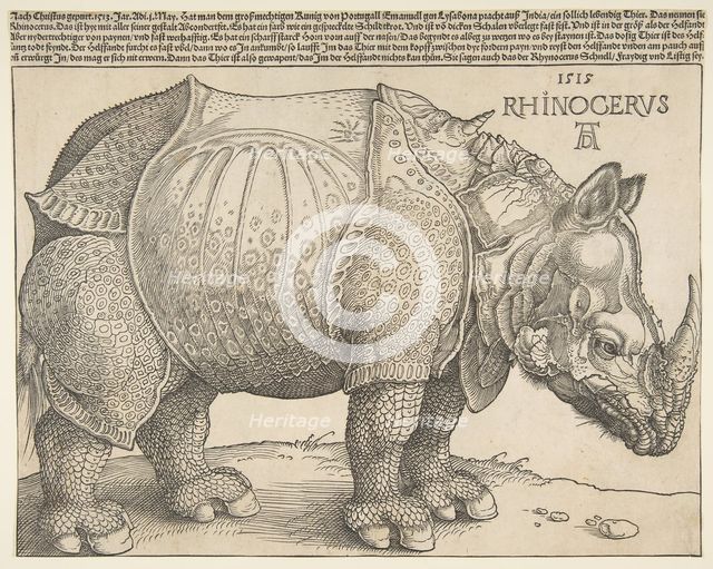 The Rhinoceros.n.d. Creator: Albrecht Durer.